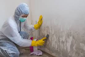 Deer Park, TX Mold Inspection Company